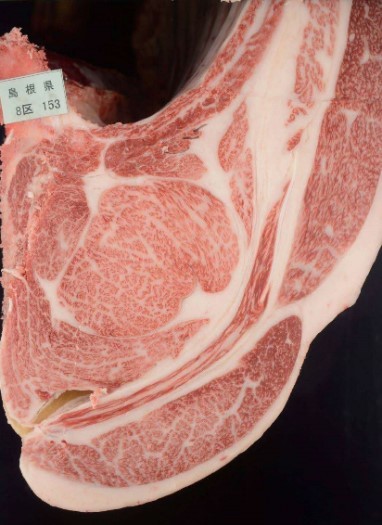 第８区出品牛の枝肉断面の写真
