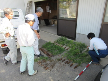 得苗調査状況