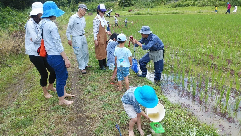 生き物調査