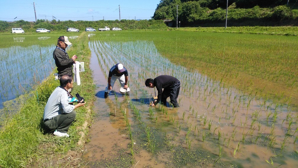 篩別法による確認