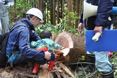 伐採後の様子の画像