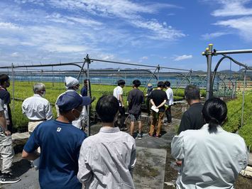 苗畑の見学中