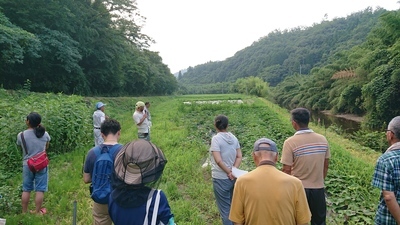 現地ほ場見学の様子2