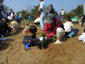 植栽活動の様子