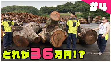 【ネルソンズの「島根の山は動く！ぶつけろ！君のやる気を！」＃４原木市場で値段当て対決！】（外部サイト）