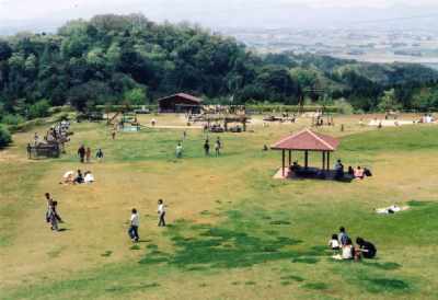 森林公園風景