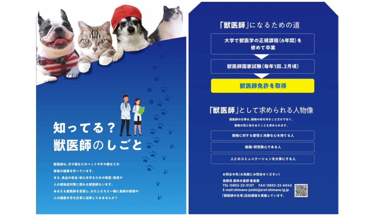 知ってる？獣医師のしごと