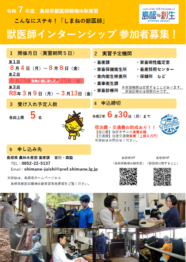 インターンシップ案内