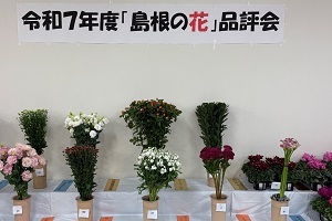 島根の花品評会受賞作品
