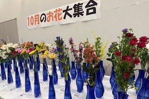１０月のお花