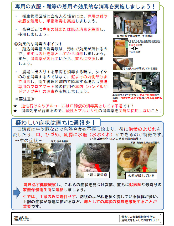 韓国での口蹄疫発生情報（牛用）２