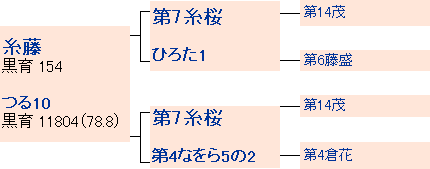 藤桜の系統図