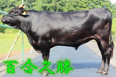 百合久勝写真