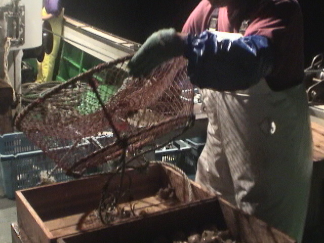 バイかご漁業