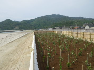 平成30年5月時点の現地写真