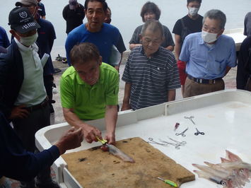 島根県 ケンサキイカの活〆 活締め 講習会が今年も開催されました トップ しごと 産業 水産業 地方機関 東部農林水産振興センター水産部 旧松江水産事務所 水産振興 水産業の振興