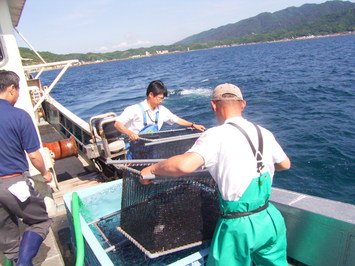 放流の様子の写真