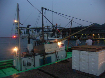 帰港時点でまだ薄暗い漁港の写真。