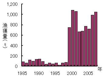 島根県におけるサワラ漁獲量の推移