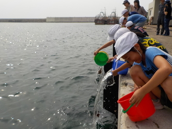 笑顔でヒラメの稚魚を放流する子どもたち