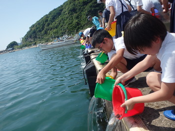 子どもたちの体験放流の様子