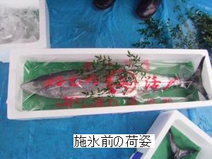 施氷前の荷姿