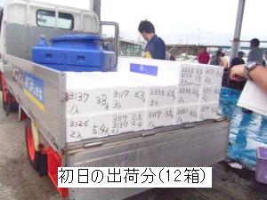 初日の出荷分（12箱）