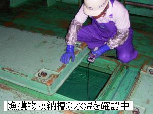 漁獲物収納槽の水温を確認中