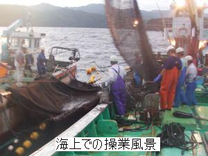 海上での操業風景