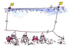 かご漁業の操業イメージ
