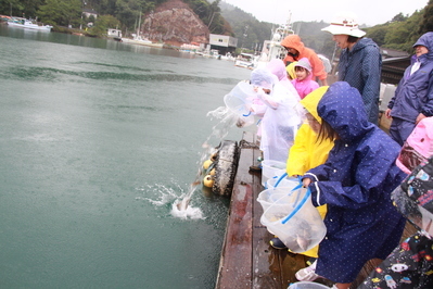 体験放流