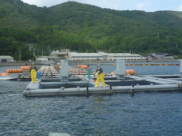 中間育成施設