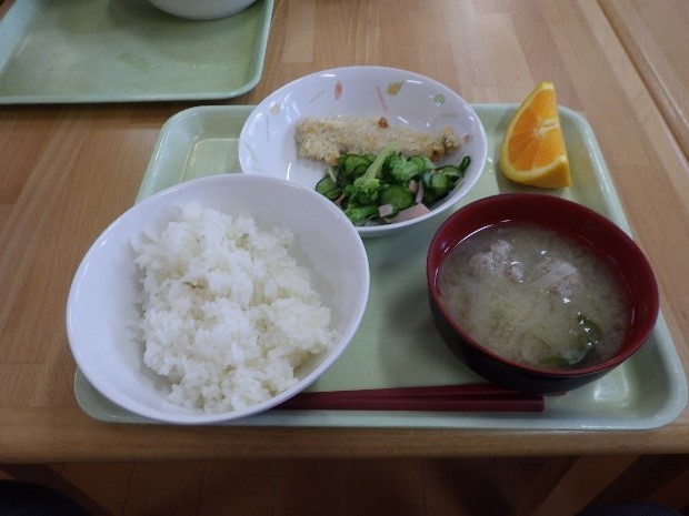 料理の完成品