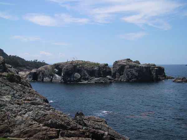 経島の写真