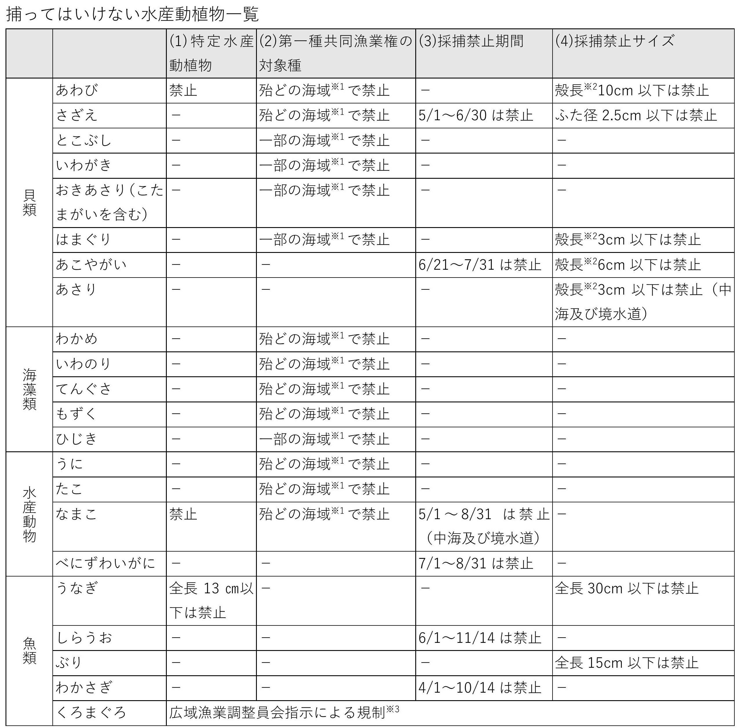 捕ってはいけない水産動植物