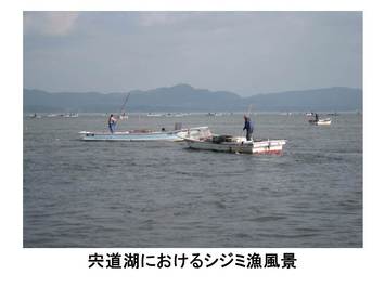 宍道湖におけるシジミ漁風景
