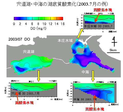 湖底貧酸素化の例（2003年7月）
