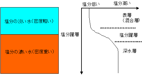 塩分躍層の模式図