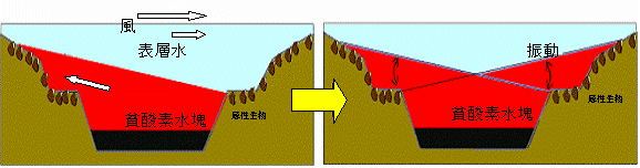 貧酸素水の動き2