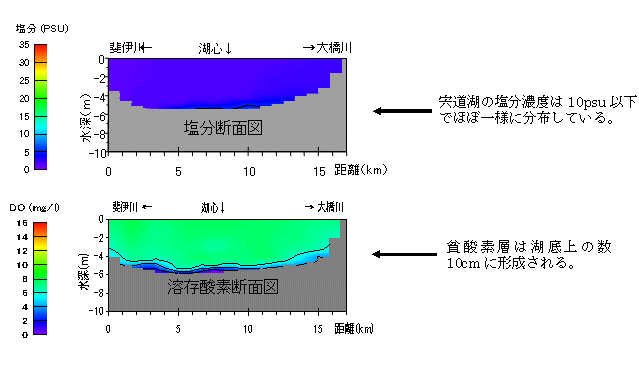 宍道湖の断面図