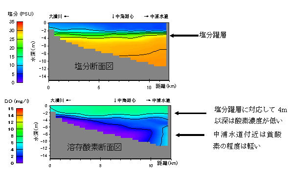 中海の断面図