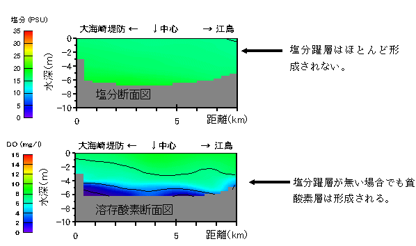 本庄水域の断面図