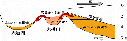 高塩分水の這い上がりの様子