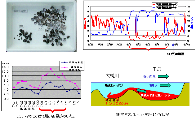 ヤマトシジミのへい死