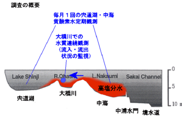 高塩分水の溯上