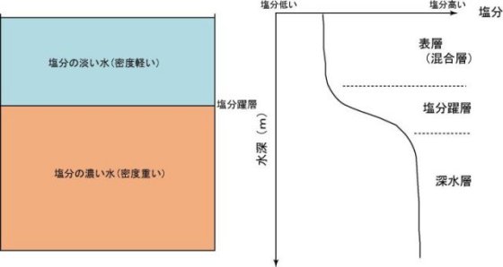 躍層の模式図