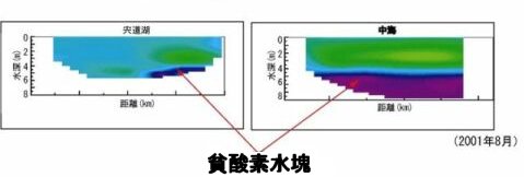 貧酸素水が湖底に滞留する様子