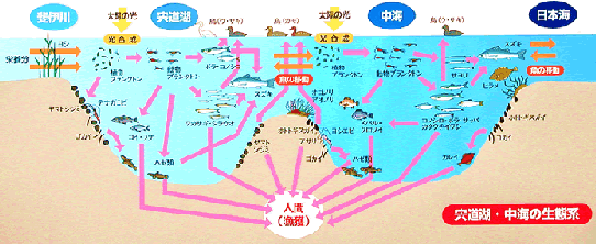 生態系の図