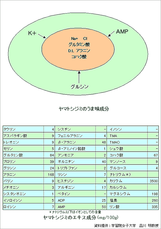 島根県 シジミの栄養 トップ しごと 産業 水産業 水産振興 島根の川と湖 島根の豊かな川と湖