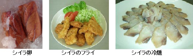 シイラの料理